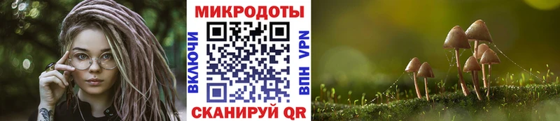 как найти наркотики  Красавино  Псилоцибиновые грибы Psilocybine cubensis 